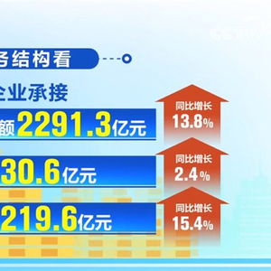 14043億元的動能 從11.1%透視我國服務外包高質量發展